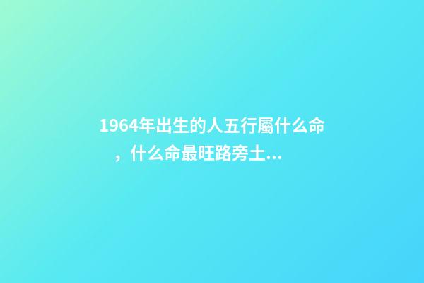 1964年出生的人五行屬什么命，什么命最旺路旁土 路旁土命和什么命最配-第1張-觀點-玄機派